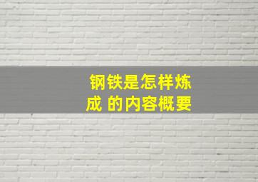 钢铁是怎样炼成 的内容概要